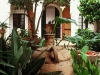 Main patio garden