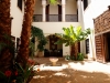 Patio Palmier