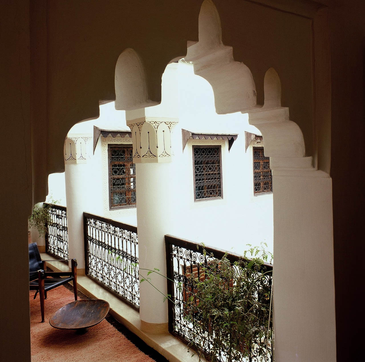 Palmen Suite - Balkon